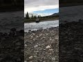 Alaskan Hunting Buggy Crossing A River Alaskan Hunting Buggy Crossing A River