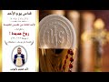 قداس يوم الأحد الأب صميم باليوس كنيسة مار يوسف ميشيكان 