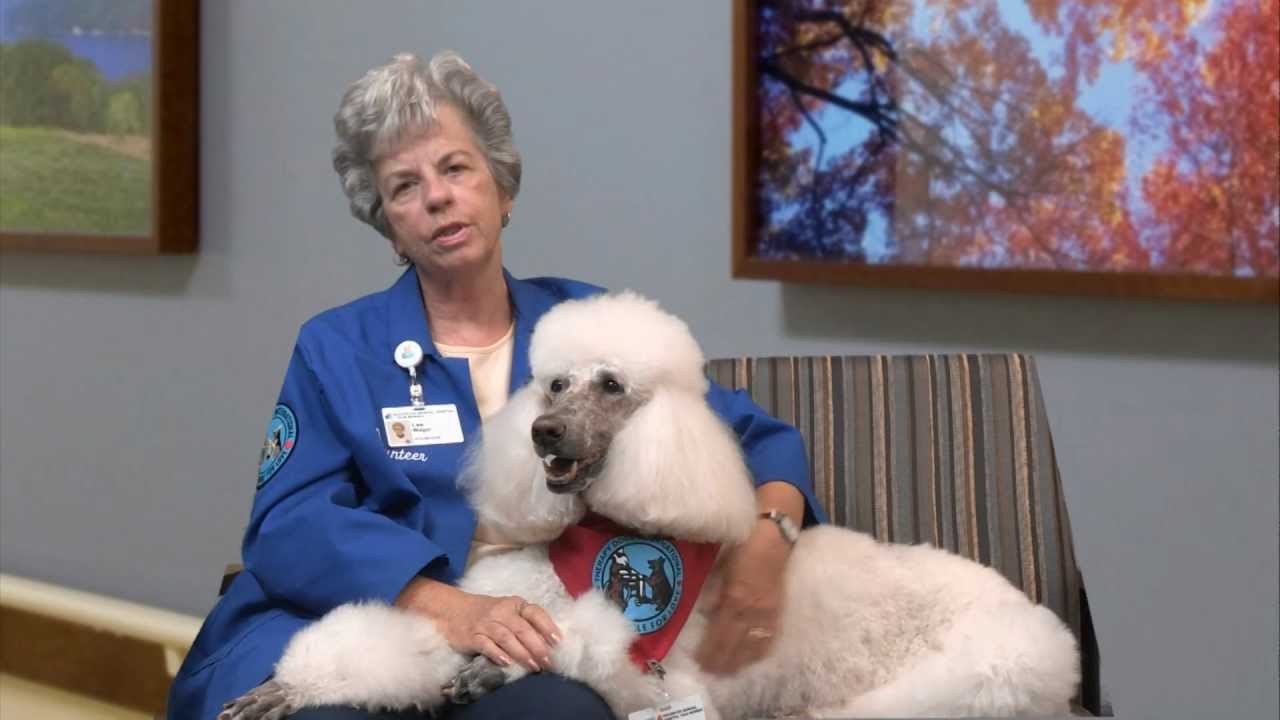 Lee & Abby, Canine Visitation Team - YouTube
