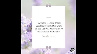 Ответ из СФР на моё требование трудовой пенсии как положено по закону в 60 лет..