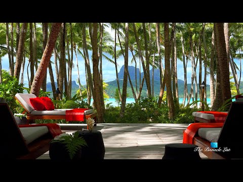 Palm Tree Island Sounds | Relaxing ASMR | Luxury Lifestyle | Motu Tane | Bora Bora, French Polynesia