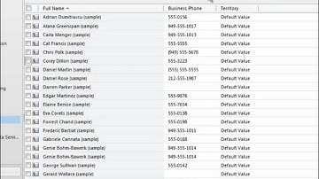 Setting Service Preferences - Microsoft Dynamics CRM Online - Success Portal