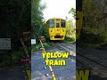🚉DiselTrain【なのはな号】八田踏切を通過!🌴✨ #Shorts