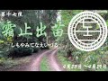 霜止出苗
