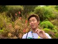 Botanical Garden In California