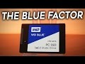 WD 1TB Blue SSD Review - Is it Any GOOD?