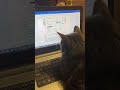 Он даже какие то окошки открывает. Автор видео: @zlagerdrone Смешные комментарии.