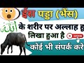 इस भैंस के ऊपर अल्लाह हू लिखा हुआ है😱😱 || अल्लाह हू अखबर || allah hu ||
