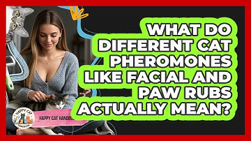 What Do Different Cat Pheromones Like Facial And Paw Rubs Actually Mean? - Happy Cat Handbook