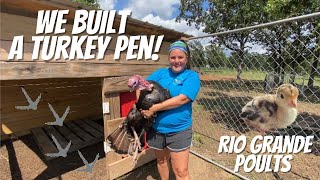 Building A Turkey Pen Turkey Coop And Run Is Ready For Our Growing Rio Grande Turkey Poults Youtube