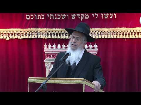 הלכות אבלות שלושים יום ושנה | הרב יורם סרי