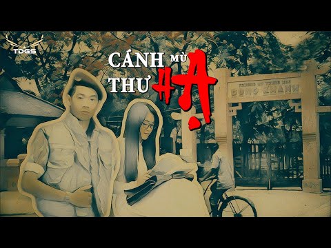 Video Câu Chuyện 