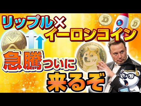 【爆上げ確定】イーロン・マスクのイチオシコインの急騰が近づいてきているので解説します