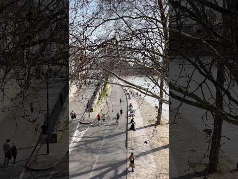 NO RITMO DE PARIS #roteirosemparis #experienciaemparis #passeiosguiados #fotografoemparis #shorts