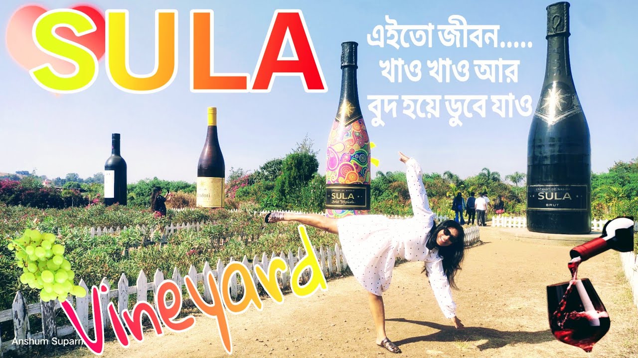 চল Sula Vinyard Nashik যাই Wine খেতে Sula Vinyard Nashik Vlog And