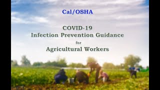 *Archived* Cal/OSHA COVID-19 Infection Prevention Guidance for Agricultural Workers