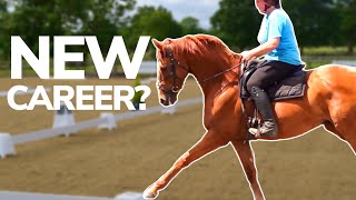 EMBER STEPS UP HIS TRAINING | Racehorse to Dressage horse?