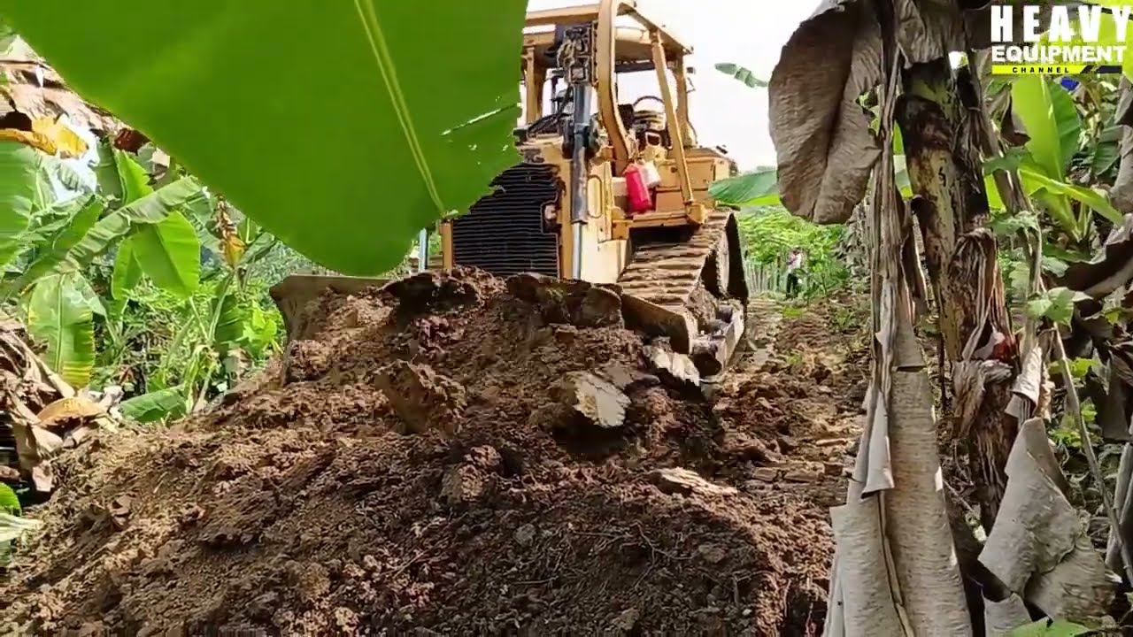 Amazing Skills of a Caterpillar D6R XL Bulldozer Operator Working to Widen a Road on a Plantation
