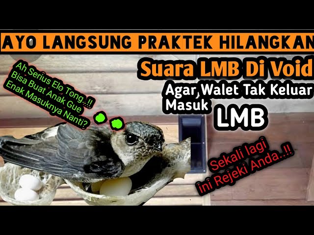 Praktek langsung Cara mengetes kelayakan setting volume yang pas tekhnik 321 class=