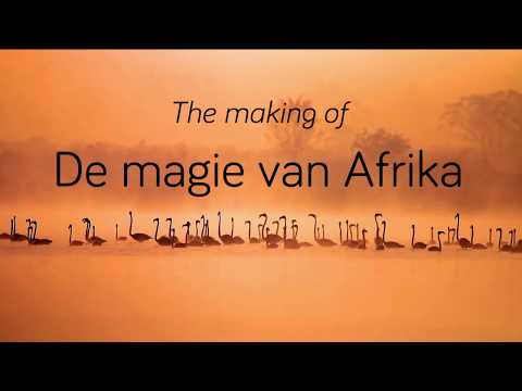 The making of