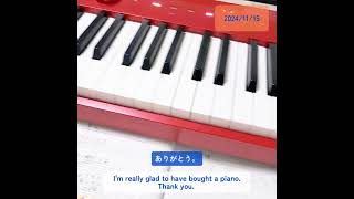 【🎹🎹】足立区ストリートピアノフェスDiary _about piano 20241115