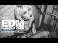 大人がくつろぐEDM Lounge / Deep House /Tech House / Techno / House Music / Chill EDM