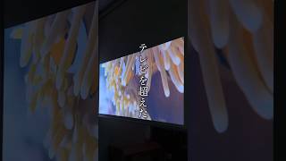 テレビを超えた…!!?