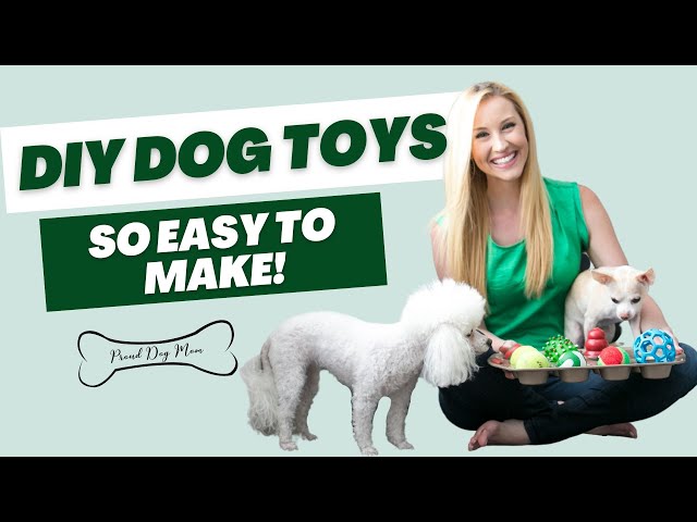 Diy Dog Toys Made From Common Household
