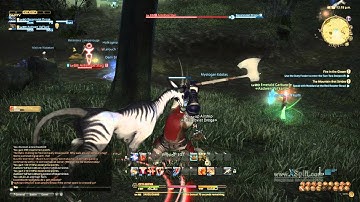 FFXIV ARR Assist Bot Part1 - BasaBots.com