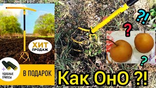 ТОРНАДО ручной Культиватор  Обзор 😳 Груша  НЭШИ китайская 😋