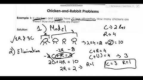 Whirlpool(2-3): Chicken And Rabbit Problem