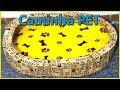 Cama para Cachorro-DIY Caminha PET