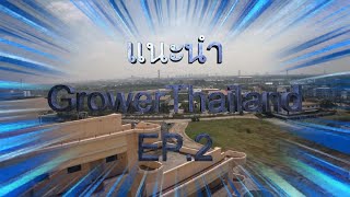แนะนำ GROWER THAILAND EP 2 Grower Unlimit Genetic