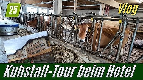 Kuhstall-Führung beim Hotel Sonnschein in Niederau (Farmcon 25)