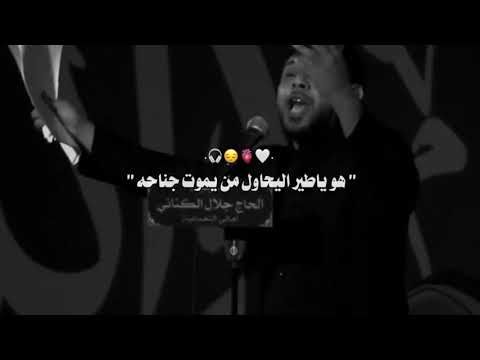 لامسحتو جروح كلبي ولاسمعتو صباحه سيد فاقد الموسوي