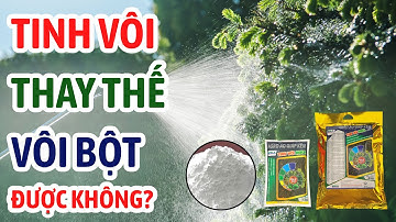 Tinh vôi thay thế vôi bột được không? Trường hợp nào áp dụng Tinh vôi hoặc vôi bột hiệu quả?