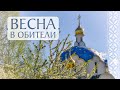 Весна в обители