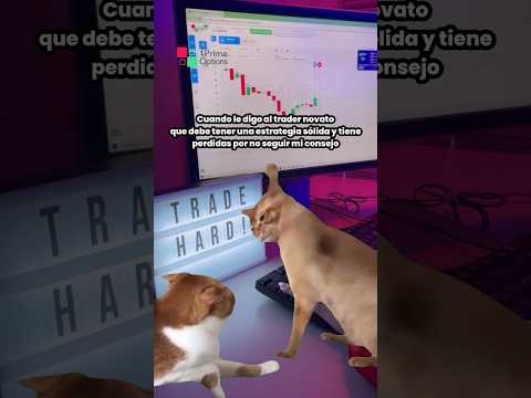 Trader novato: ¿Estrategia?