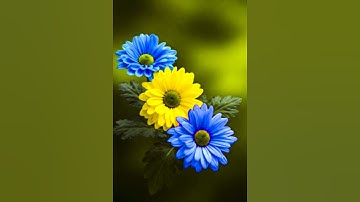 Flower Color Change Magic 🌼 | Hue/Saturation Tool in Adobe Photoshop #shorts