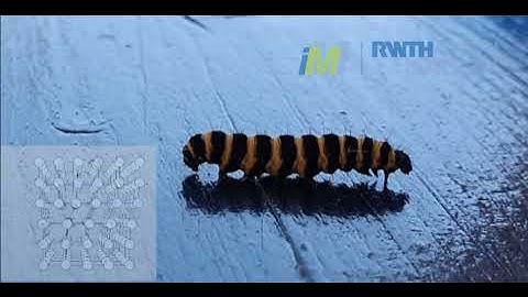 Dislocation and caterpillar motion