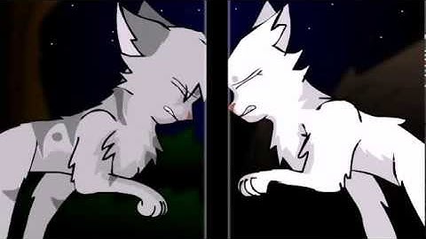 Jayfeather and Half Moon MAP: The Scientist (Part 10)