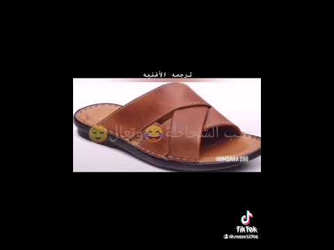 صرصور في الكيس