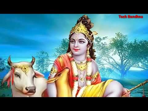 Good Morning Video...Quotes,Message,Whatsapp Status Video