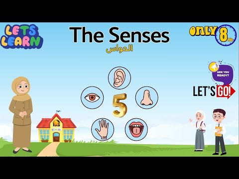 تعليم الحواس الخمس للأطفال بالإنجليزي Learn The 5 Senses For Kids