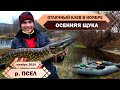 ВЕРХНИЙ ПСЁЛ радует КЛЕВОМ ЩУКИ в НОЯБРЕ ! ТВИЧИНГ ! МАСТЕР КЛАСС от спортсменов "PERCH MASTER"