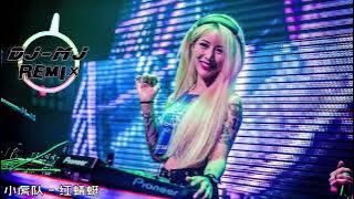 小虎队 - 红蜻蜓 DJ-MJ Electro Remix【我们都已经长大,好多梦还要飞,就像现在心目中红色的蜻蜓】🔥🔥 4K Music Video