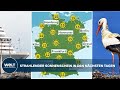 DEUTSCHLAND: Strahlender Sonnenschein - Störche, Kreuzfahrtschiffe und gute Laune | WELT WETTER