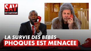 Les Bébés Phoques Sont Menacés - Le S.a.v. Des Émissions - 2012 - C