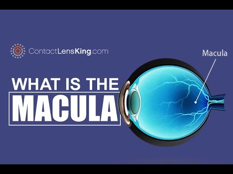 Video: Er en forringelse af macula lutea i nethinden?