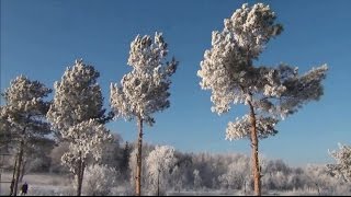 Прогулка по зиме(фантастически красивый релакс)💕Walking through the winter